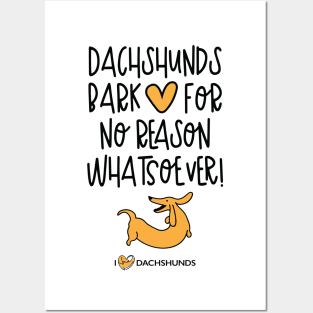Dachshunds Bark For No Reason Whatsoever Posters and Art